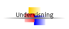 Undervisning